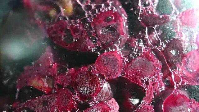Grapes undergoing fermentation in a glass carboy. Carbon dioxide release during winemaking.

