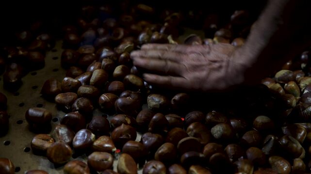 Hands Roasting Chestnuts in a Pan on the Stove. 