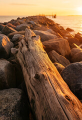 Fototapeta premium Serenity and mindfulness, driftwood log on a rocky ocean breakwater at sunset with calm water and pier in the distance for travel and wellness themes