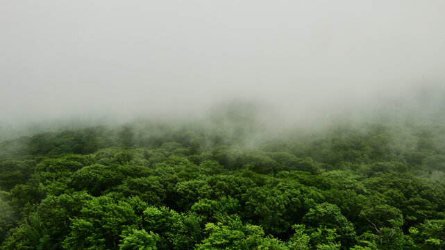 view overlooking the green forests from Camden Hills State Park in Maine, New England