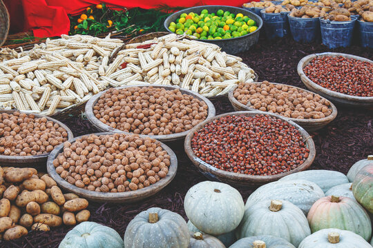 Autumn harvest display with walnuts, hazelnuts in wooden bowls, white corn cobs, gray pumpkins, potatoes, limes at farmers market, concept of harvest festival, organic farming, Thanksgiving
