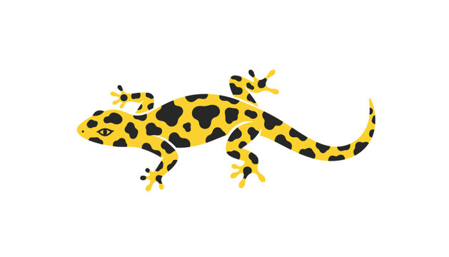 Yellow salamander or gecko reptile adorned with bold black spots and distinct patterns on a white background.