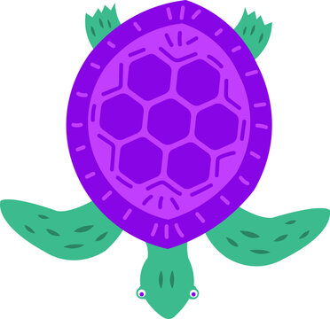 turtle