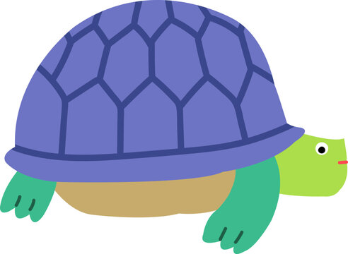 turtle