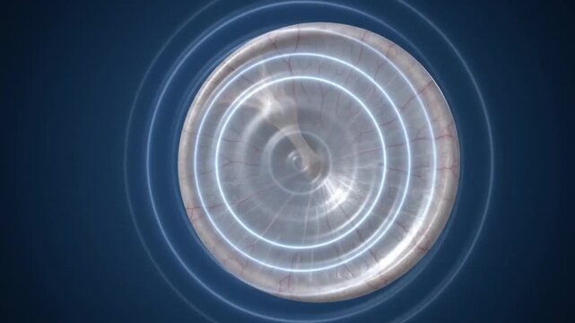 Human ear anatomy illustration depicting eardrum and tympanic membrane with sound waves radiating in concentric circles representing auditory function hearing process and medical sound transmission