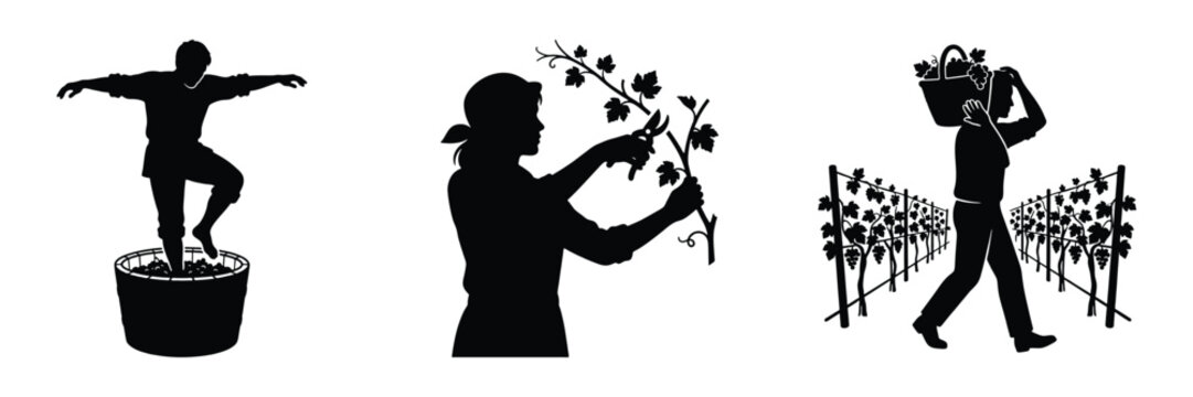 Winemaker and vineyard worker silhouette set, person grape stomping in barrel, pruning grapevines with shears, carrying harvest basket through vineyard vector collection