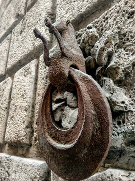 Medieval wrought-iron horse-tethering ring embedded in stone wall of  historic building in Siena, Italy