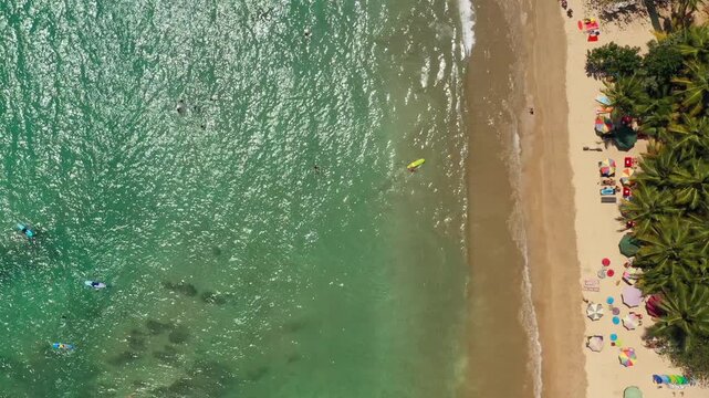 Aerial View of Tropical Beach with Turquoise Water and Palm Trees