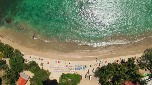 Hiriketiya Beach Shoreline with Palm Trees and Sun Loungers Top View