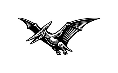 Black and White Pterodactyl Illustration © Compositor 