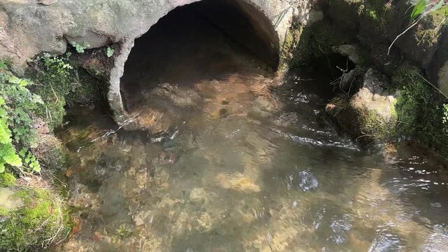 A concrete culvert directs water into a natural stream surrounded by greenery and rocks.