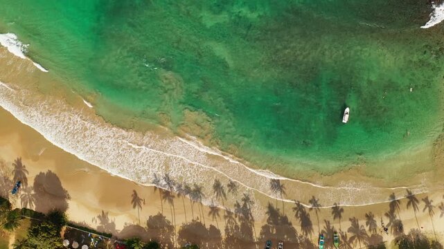 Aerial View of Dickwella Beach with Turquoise Water and Palm Tree-Shad