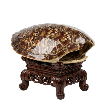Isolated polished turtle shell resting on an ornate carved wooden stand showing texture and natural pattern