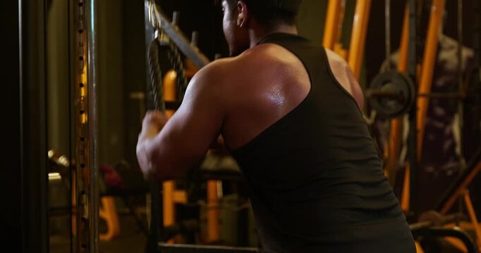 Muscular Bodybuilder Training Triceps With Weights During Gym Workout &mdash; Focused athlete completes multiple triceps repetitions with controlled movements, showcasing defined arms, strength development 