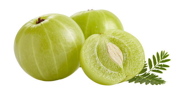 Fresh whole and sliced Indian gooseberry amla fruits with green pinnate leaves