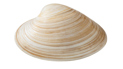 Single closed clam shell with beige and brown concentric ridges © Fraser
