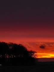 Fototapeta premium Dark sky bleeds with fiery orange and crimson hues. Silhouetted trees frame a dramatic sunset.