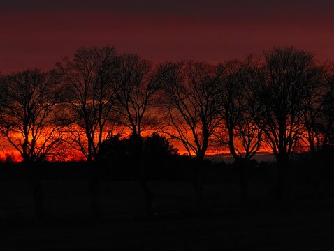 Dark trees silhouette a fiery sunset. The sky glows with intense orange and red hues.