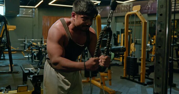 Muscular Bodybuilder Training Triceps With Weights During Gym Workout &mdash; Focused athlete completes multiple triceps repetitions with controlled movements, showcasing defined arms, strength development 