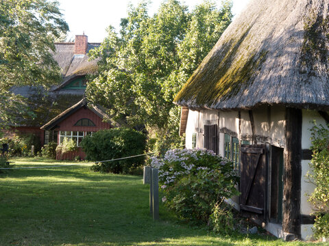 traditionelle Reetdachh&auml;user an der deutschen Ostseek&uuml;ste