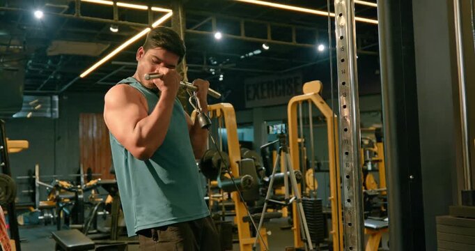 Bodybuilder Performing Intense Biceps Workout With Weights, Barbell and Rope in Gym &mdash; Muscular male athlete performs controlled biceps exercises using free weights, barbell and cable rope equipment. T