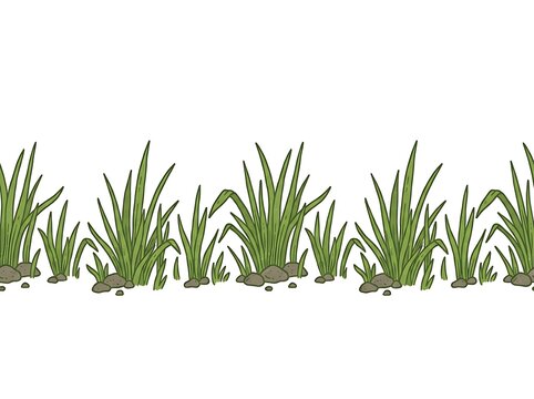 Green grass clumps growing in soil