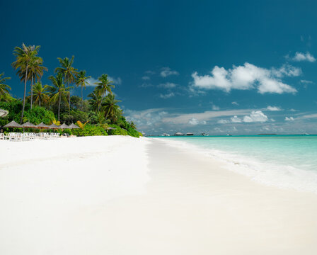 Tropical beach landscape with white sand, palm trees, beach umbrellas and turquoise ocean under blue sky