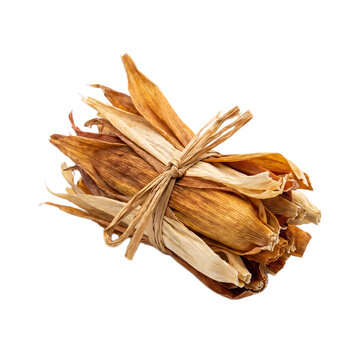 A bundle of dried corn husks tied securely with a thin strip of natural raffia with together simple raffia isolated against clean clean white background