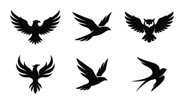 Bird silhouettes set with eagle, owl, phoenix, falcon and swallow for logos and icons