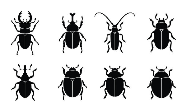 Insect silhouettes set with beetles, stag beetle, weevil and longhorn beetle for nature logos