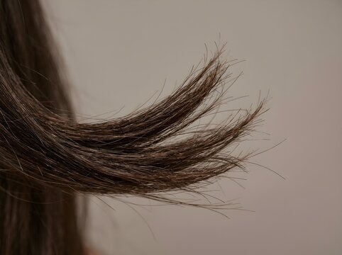 Close up of damaged brown hair split ends on a blurred background, highlighting hair care needs