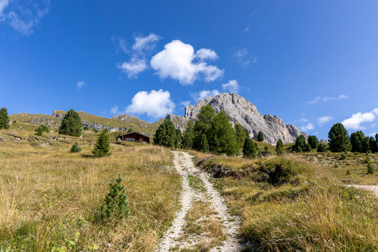 Rugged mountain peaks rise above a wild meadow. Dirt path winds through golden grass and green pines. Sparse clouds drift in a vast, clear blue sky. here, offering peaceful solitude