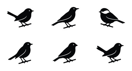 Fototapeta premium Bird silhouettes set with various species on branches for nature design