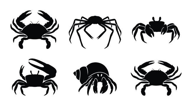 6 crab and hermit crab silhouettes with marine life, ocean creatures for seafood logos