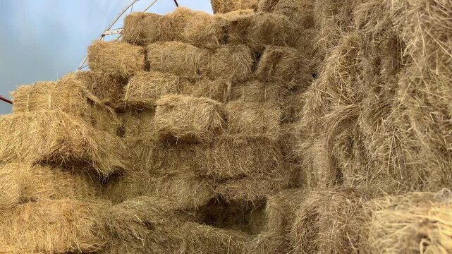 Stacked hay bales filling a rustic agricultural storage area beneath a translucent shelter, showing tightly packed golden straw and textured rectangular bundles in close view