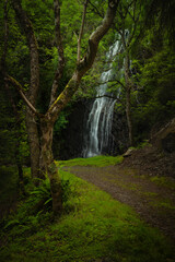 waterfall in the forest, Known as Lady Falls, near Loch Ness, Scotland. © cliff