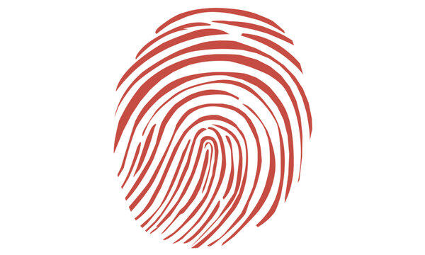 Abstract lines fingerprint,   concentric circular modern graphic vector illustration