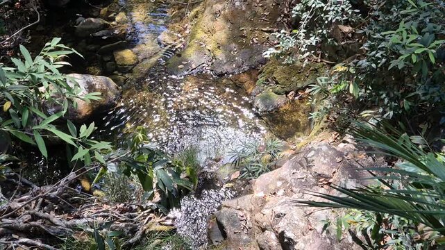 cerrado alto paraiso