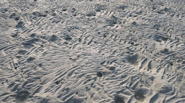 Slow motion. Detailed close-up of intricate crab burrow patterns on tropical beach sand, textured surface in Karimunjawa, organic nature background, summer travel, ecological patterns.