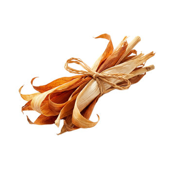 A bundle of dried corn husks tied with a raffia string isolated on a white background with together natural raffia string against clean decorative bundle
