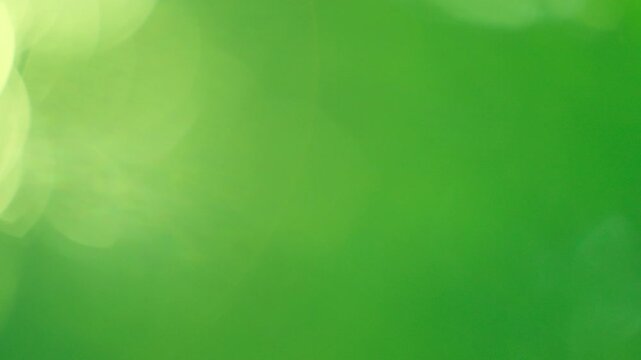 Bright morning sunshine moving through refreshing lime green foliage, distinct sun flare and thin bokeh, lively organic presentation overlay