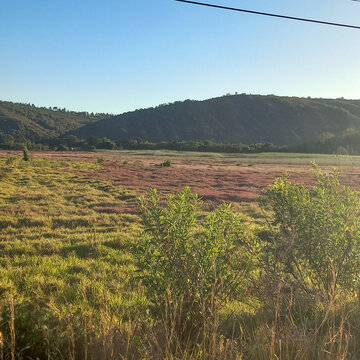 View of the Garden of Eden nature reserve featuring lush indigenous vegetation, rolling hills, and golden sunlight illuminating the landscape in Knysna, Western Cape, South Africa.
