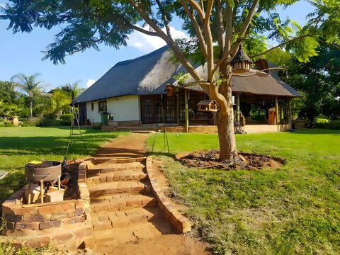 View of a traditional thatched roof guest lodge surrounded by a lush green lawn, brick stairs, and a large tree in Hartbeespoort, North West, South Africa.
