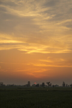 View of a golden sunset over a rural field with silhouettes of trees in the distance in Multan, Punjab, Pakistan.
