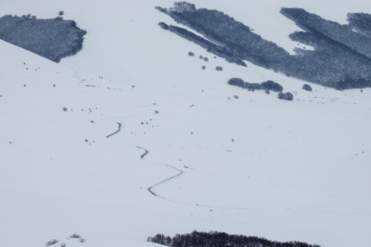 View of a winding path through a vast, snow-covered landscape with dark trees on the hills in Castelluccio, Umbria, Italy.