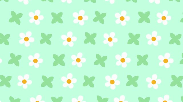 Seamless floral pattern with white daisy flowers on light green background