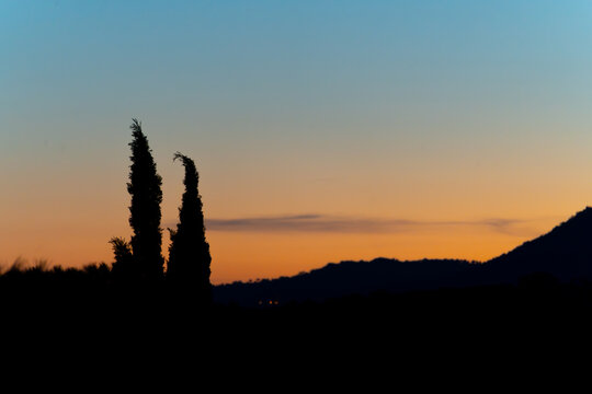 View of the silhouette of cypress trees against a vibrant sunset sky with hills in the background in Gigaro, La Croix-Valmer, Provence-Alpes-Cote d'Azur, France.