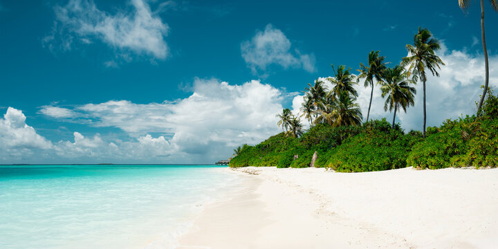 Panoramic view of tropical beach with white sand, palm trees, turquoise ocean water and blue cloudy sky