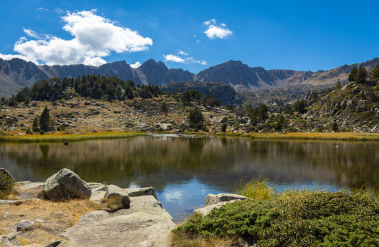 View of Llac de Pessons surrounded by rocky mountains, pine trees, and alpine vegetation under a clear blue sky in Grau Roig, Encamp, Andorra.