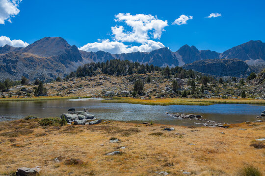 View of Llac de Pessons surrounded by rocky mountains, pine trees, and golden autumn grass under a clear blue sky in Grau Roig, Encamp, Andorra.